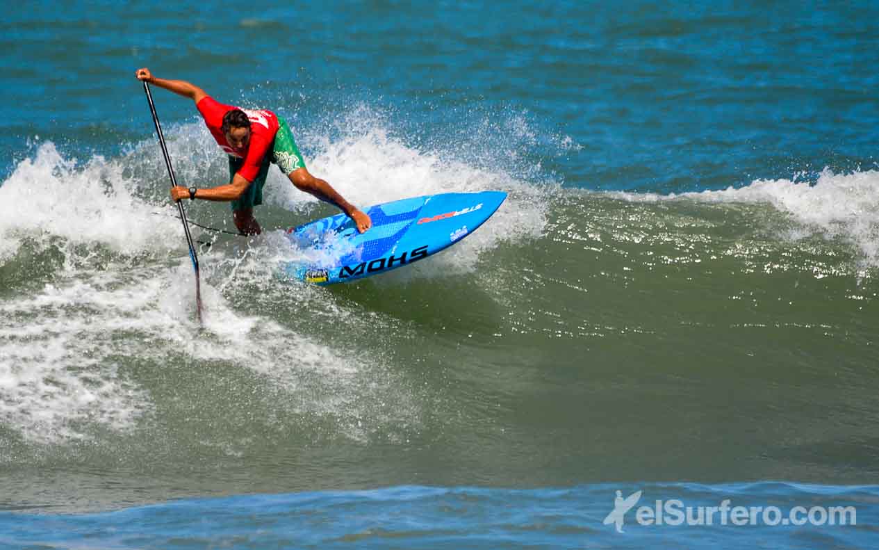 Pollo Barbero - Foto: Brian Bjerrum