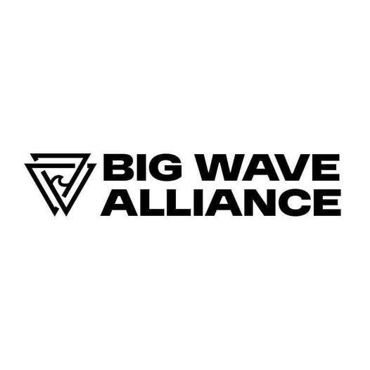 https://bigwavealliance.com/